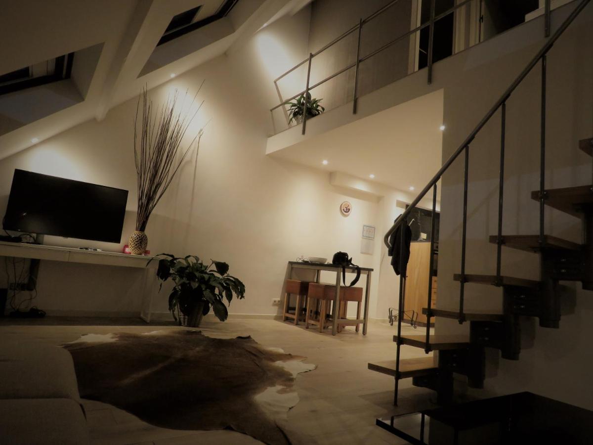 Villa Einstein Apartments Antwerpen Kültér fotó