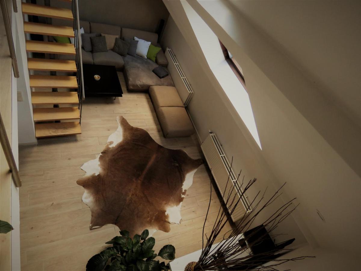 Villa Einstein Apartments Antwerpen Kültér fotó