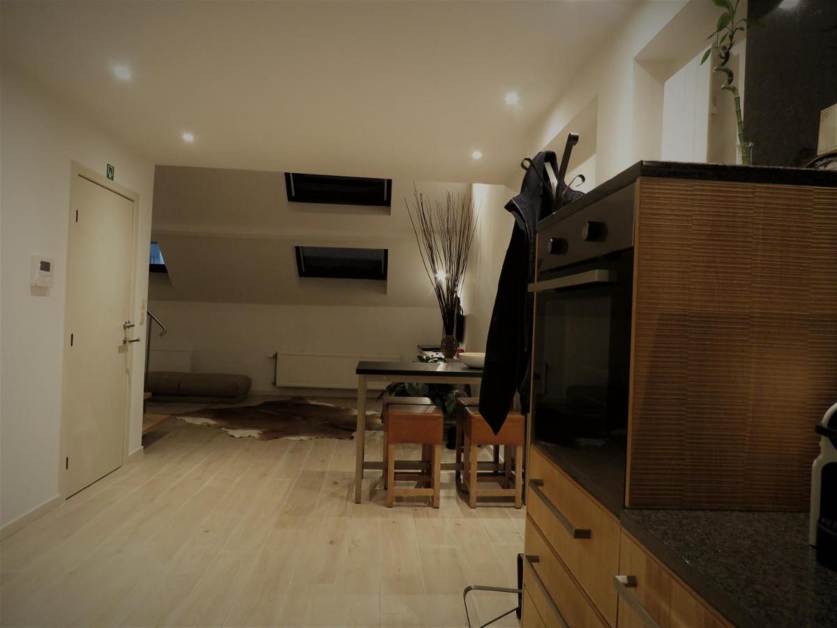 Villa Einstein Apartments Antwerpen Kültér fotó