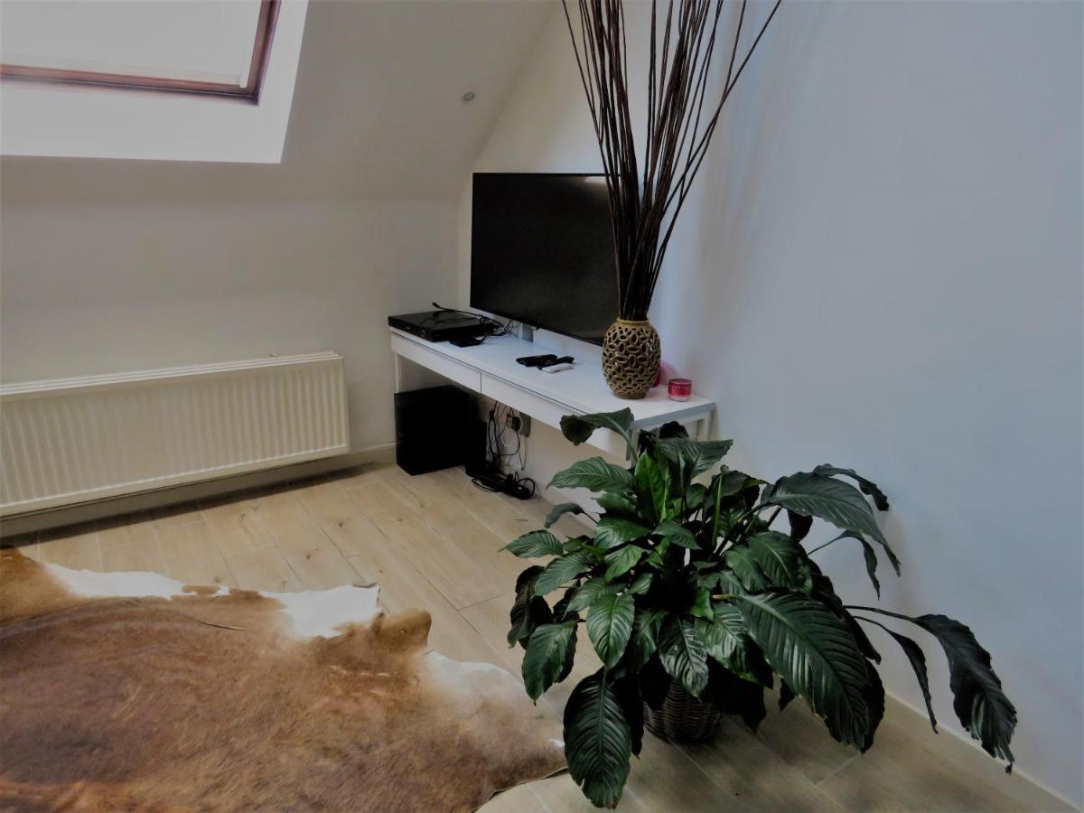 Villa Einstein Apartments Antwerpen Kültér fotó